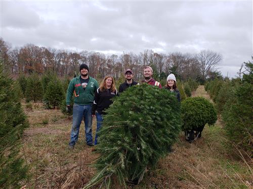 Christmas Tree Farm 